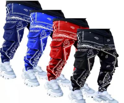 China 2021 Anti-wrinkle cashew print custom zipper pocket work men's trend causal pants for sale