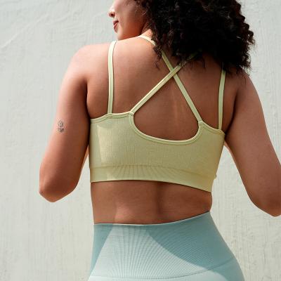 China Breathable Yoga Wear Seamless with Workout Top, Women Sports Bra, and Fitness Top Yoga Tops Clothes  Gym Shirts for sale