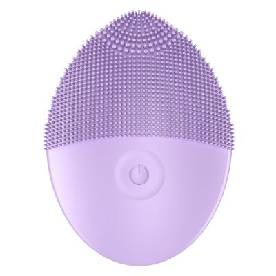 China Acne Treatment Beauty Products 2022 New Facial Massager Device Electric Cleaning Brush for sale