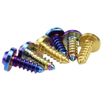 China High Quality M5 Pan Grade 5 Titanium Tapping Screws for sale