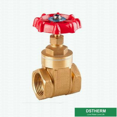 China Customized Brand BSPT Heavier Style Brass Gate Valve Double Female Heavier type Gate Valve for sale