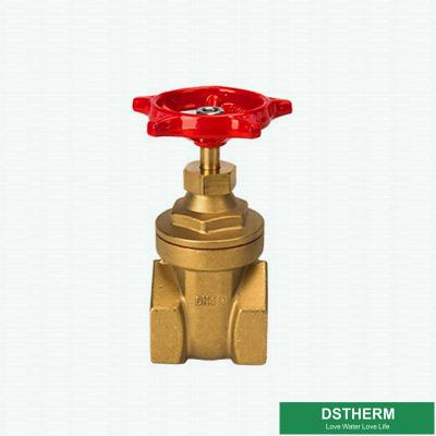 Cina La forgia del flusso aperto veloce del NPT controlla la valvola a saracinesca d'ottone in vendita