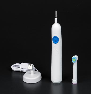 China Rotary Rechargeable Sonic Toothbrush / Travel Size Electric Toothbrush for sale