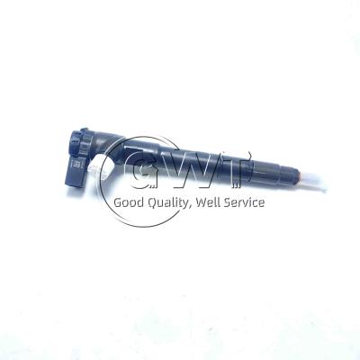 China Delphi Diesel Fuel Injector 28543147 For VW for sale