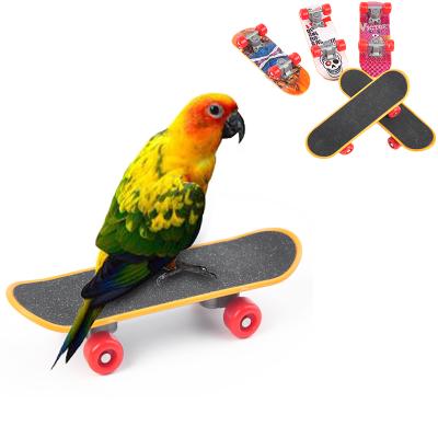 China Promotional Custom Viable Mini Scooter Interactive Finger Toy Parrot Toy Bird Training Plastic Gifts Scooter for sale