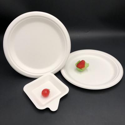 China Disposable compostable tableware 9 inch bagasse paper plates wholesale biodegradable sugarcane dishes for sale