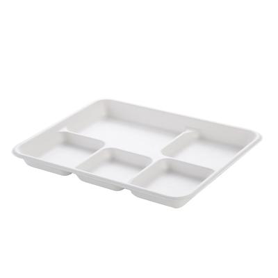 China New Trend Product Trend Bagasse Disposable Compostable Tableware 5 Compartment Biodegradable Lunch Tray for sale