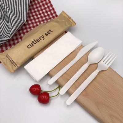 China cpla biodegradable compostable luxury heat resistant flatware set 170mm cutlery utensils biodegradable disposable spoon for sale