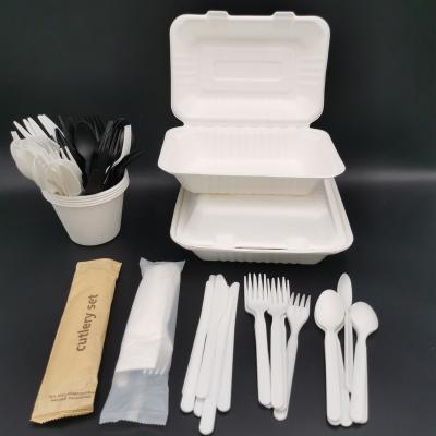 China 7 Inch 170mm Disposable Factory Eco Fork Disdesechables CPLA Cutlery Set Ecologicos Disposable Factory Direct Alimentos de Para d'ecologicos for sale