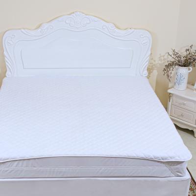 China Waterproof Mattress Topper Cover Fitted Quilted Coral Velvet Mattress Twin Hood Pad Protector for sale