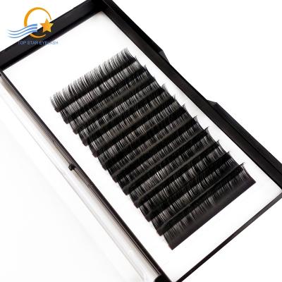 China Classic Available Individual Eyelash Extension Lash Extensions Factory Wholesale Good Quality Good Quality Volume Extensions Tray for sale