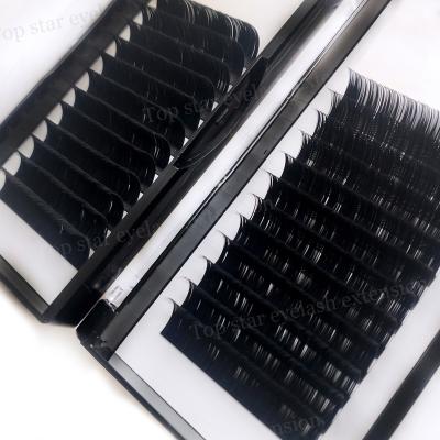 China Blooming Eyelash 0.03 Full Volume Fan Easy Eyelash Extensions 0.05 0.07 Private Label Lash Extensions for sale