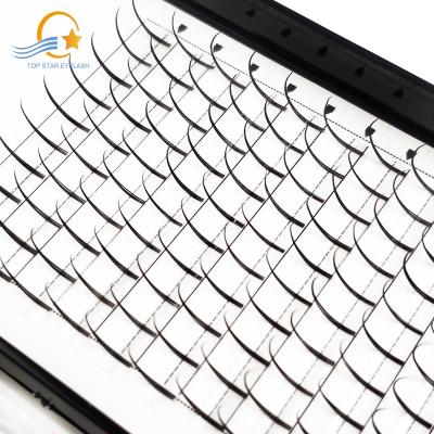 China Soft Texture 0.07 Spikes Lash Volume Eyelash Extensions Cashmere Lash Extensions Lash Trays Eyelash Extension Supplies for sale