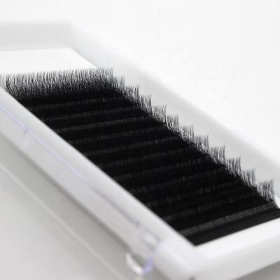 China YY Private Label Eyelash Extensions 0.05/0.07mm Volume Natural Soft High Quality Wholesale Fan Y Shape Eyelash for sale