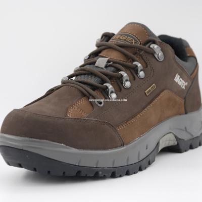 China D11749-A Outdoor Classic Waterproof EVA Men's Hiking Shoes for sale