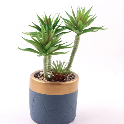 China Eco-friendly potted artificial Succulents adorn a desk in the home library office garden bookstore for sale