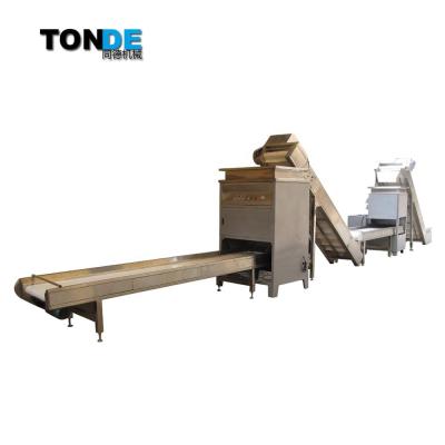 China Full Automatic Fresh Garlic Clove Segment Separator Skin Peeling Machine Line 600kg/h à venda