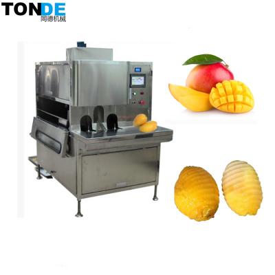 China Easy operation automatic pineapple peeler and corer/ mango hollow puncher for sale