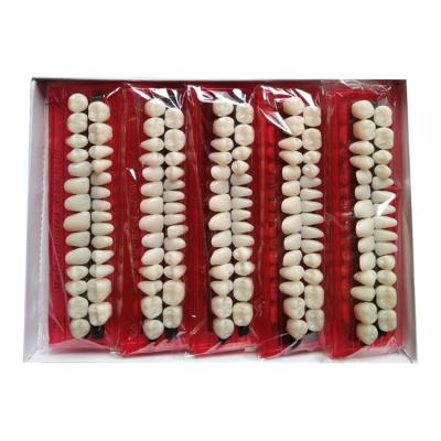 China Synthetic Resin Upper And Lower To Cover Dental False Teeth Acrylic Denture for sale