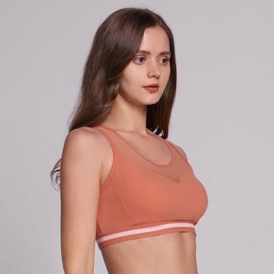 China Dropshipping Yoga Women Sportswear Gym Bra Breathable Hot Sexy Breathable Knitted Tops for sale