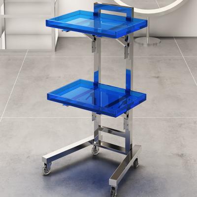 China Modern Hot Selling Beauty Cart Beauty Salon Storage Trolley Luxury Folding Beauty Trolley Ironing And Dyeing Tool Cart for sale