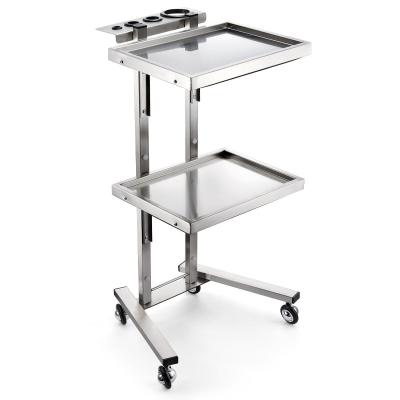 China Modern Professional factory bestseller mobile professional beauty hairdressing salon trolley use for the barber shop for sale