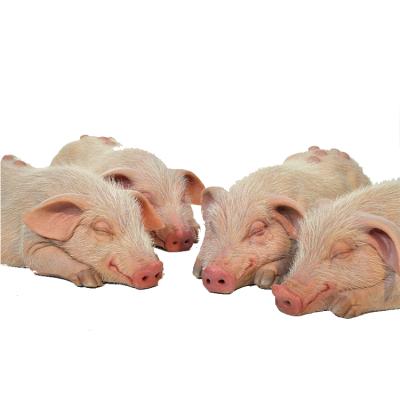 China China Realistic Animal Reproductions Pig Resin Silicone Life Size Statue for sale