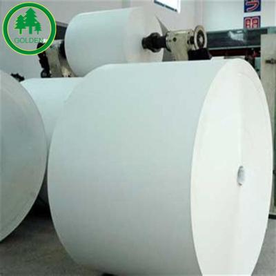 China Anticurl uncoated woodfree offset printing paper in sheet or roll for sale