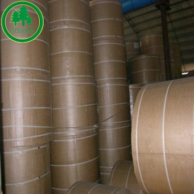 China 60g 70g 75g 80g offset printing paper woodfree anticurl netting paper for sale