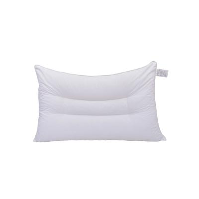 China Anti Dust Mites Neck Anti-bacteria Sleep Protective Breathable Comfortable Pillow With PE Pipe Filling for sale