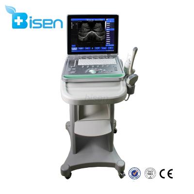 China BS-SS-8 Portable 15 Inch LED ARM Based Black And White Laptop Ultrasound Scanner BS-SS-8 for sale