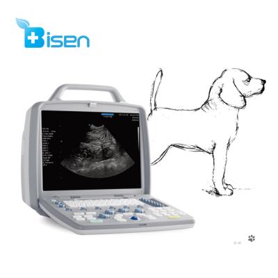 China Veterinary Obsterics / BS-8800+Vet Gynecology 3D4D Image Portable Veterinary High Quality Color Doppler Ultrasound Scanner With Transvaginal 4D Probe for sale