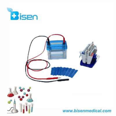 China SDS - BS-DYCZ-24DN PG Western Blot Experiments Agarose Lab Horizontal Fast Running Electrophoresis Cell for sale