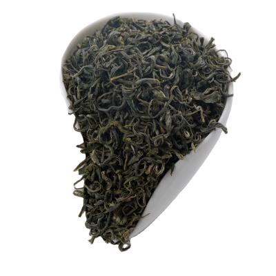 China Natural / High Quality Spring Green Tea Leaves Fresh Green Tea Healthy High Quality OEM for sale