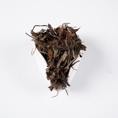 Chine Fuding natural/high quality Chinese old famous white tea shoumei leaves healthy and slimming natural baicha from Fujiang province à vendre