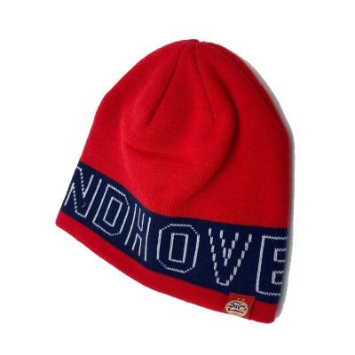 China COMMON Manufacturers Adults OEM Embroidered Logo Knit Cap Hats Winter Custom Beanie Hat for sale