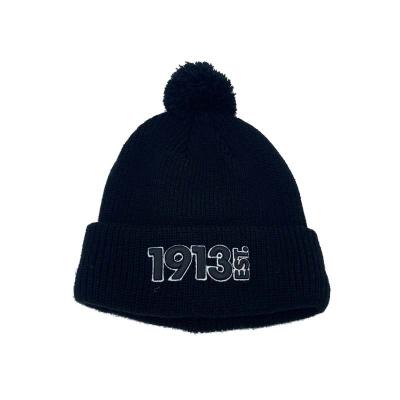 China New style 100% OEM JOINT logo 100% custom acrylic beanies beanie hat knitted hat winter women beanie for sale