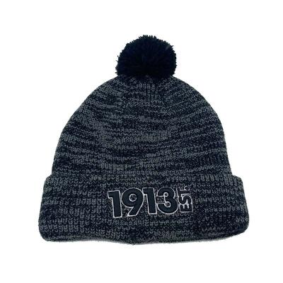 China Hot Sale COMMON Logo Knitted Knit Cap Warm Custom Made Beanie Winter Hat For Women and Men for sale