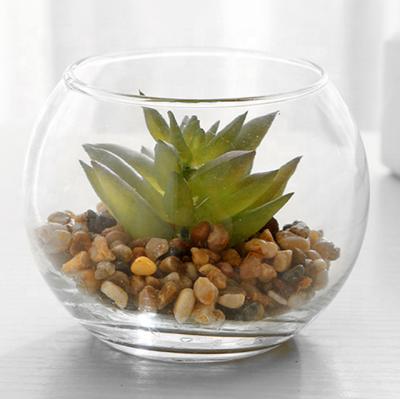 China Small Eco-friendly Transparent Ball Shape Mini Greenhouse Round Glass Fish Bowl Vase For Home Decor for sale