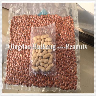 China New Dry Chinese Raw Peanuts Kernel from Corp. for sale