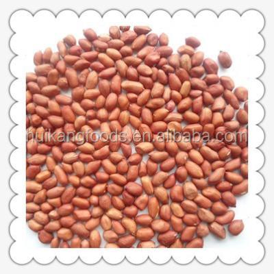 China Shandong China Dry Red Skin Peanut Core 24/28 28/32 40/50 50/60 for sale