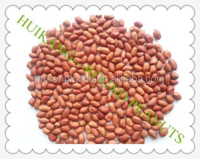 China Dried unblanched peanuts 24/28 28/32 40/50 50/60 for sale