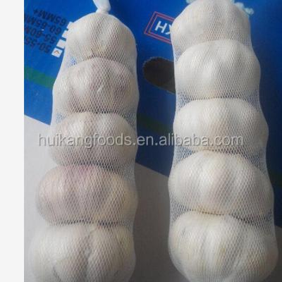 China Garlic fresh 6cm 5cm fresh 5.5cm for sale