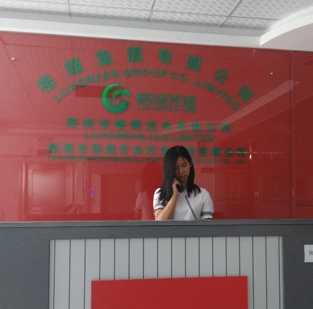 Verified China supplier - Shenzhen Luxgreen Light Electricity Co.,ltd.