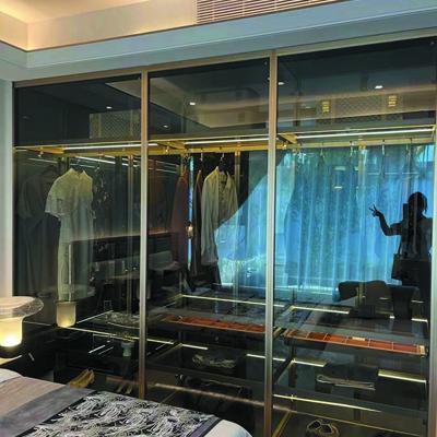 China Modern led light glass door bedroom aluminum wardrobe designs bedroom brush gold glass wardrobe for sale