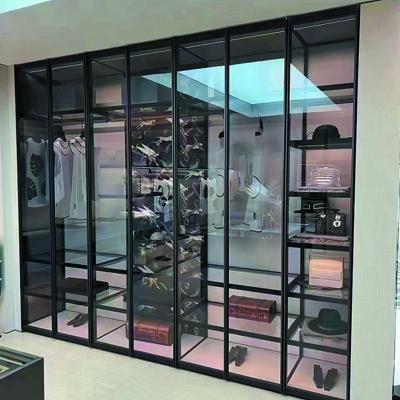 China Modern led light glass door bedroom aluminum wardrobe designs bedroom brush gold glass wardrobe for sale