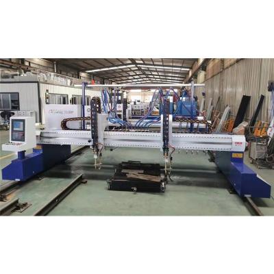 China Factory Double Plasma Cutter Head Cutting Machine With High Efficiency for sale