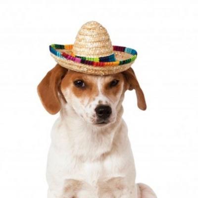 China Image Mini Mexican Sombrero For Cat Bamboo Birthday Pet Hat FOR Dog Straw MINI HATS for sale