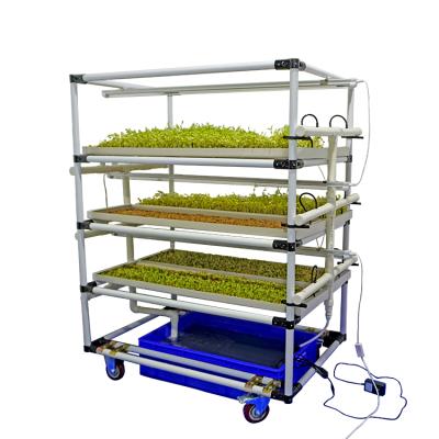 China Easy Growing Vertical Hydroponic Microgreen Forage System Seeding Rack With Led Growing Light For Growing Microgreen for sale