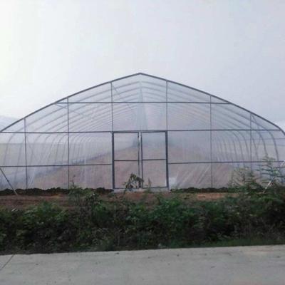 China Planting Sunlight Sheet / PC Sheet Polycarbonate Board Planting Greenhouse For Plants for sale